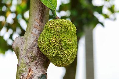 《沙丘：觉醒》终局内容引不满 开发商承诺全面调整PVP平衡性